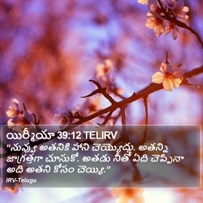 యిర్మీయా 39:12 TELIRV Bible Verse Image