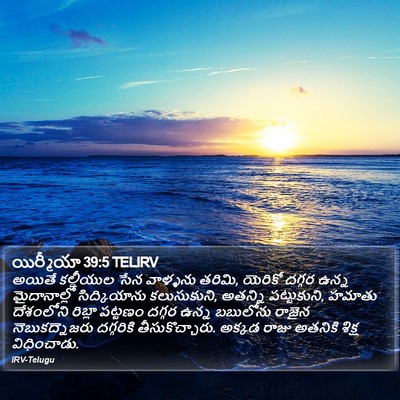 యిర్మీయా 39:5 TELIRV Bible Verse Image