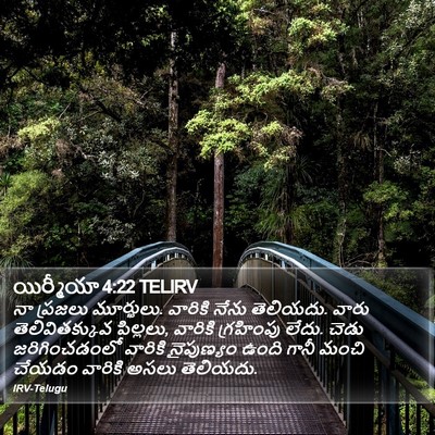 యిర్మీయా 4:22 TELIRV Bible Verse Image