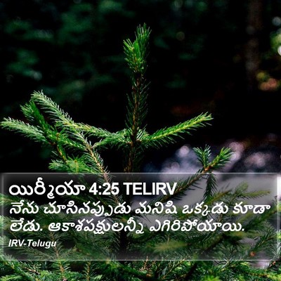 యిర్మీయా 4:25 TELIRV Bible Verse Image