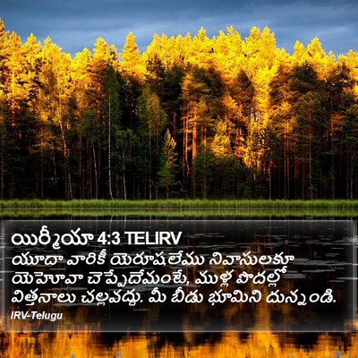 యిర్మీయా 4:3 TELIRV Bible Verse Image