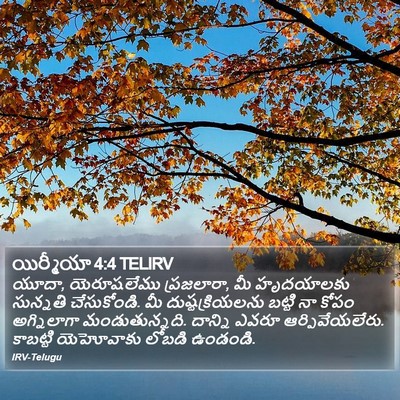యిర్మీయా 4:4 TELIRV Bible Verse Image