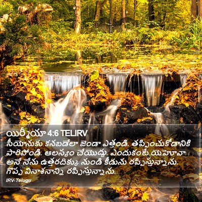 యిర్మీయా 4:6 TELIRV Bible Verse Image