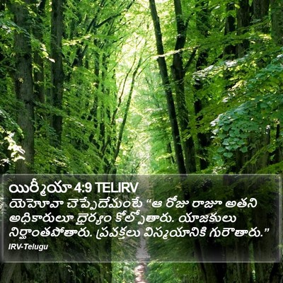 యిర్మీయా 4:9 TELIRV Bible Verse Image