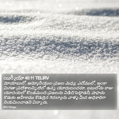 యిర్మీయా 40:11 TELIRV Bible Verse Image