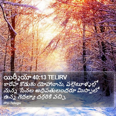 యిర్మీయా 40:13 TELIRV Bible Verse Image