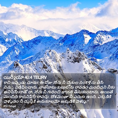 యిర్మీయా 40:4 TELIRV Bible Verse Image