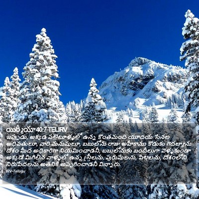 యిర్మీయా 40:7 TELIRV Bible Verse Image