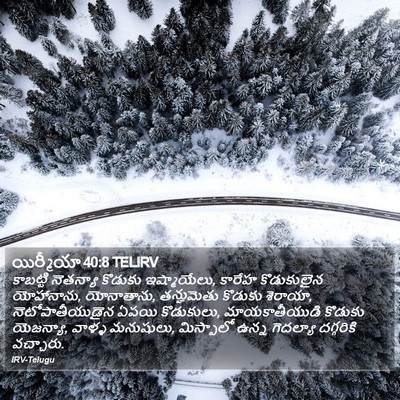 యిర్మీయా 40:8 TELIRV Bible Verse Image