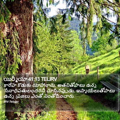 యిర్మీయా 41:13 TELIRV Bible Verse Image