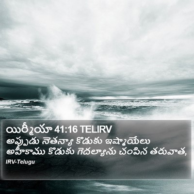 యిర్మీయా 41:16 TELIRV Bible Verse Image