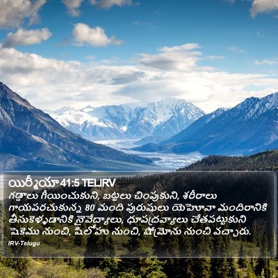యిర్మీయా 41:5 TELIRV Bible Verse Image