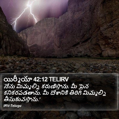 యిర్మీయా 42:12 TELIRV Bible Verse Image