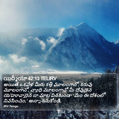 యిర్మీయా 42:13 TELIRV Bible Verse Image