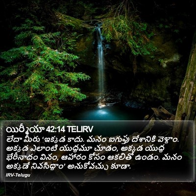 యిర్మీయా 42:14 TELIRV Bible Verse Image