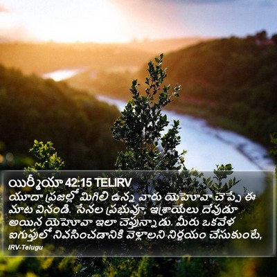 యిర్మీయా 42:15 TELIRV Bible Verse Image