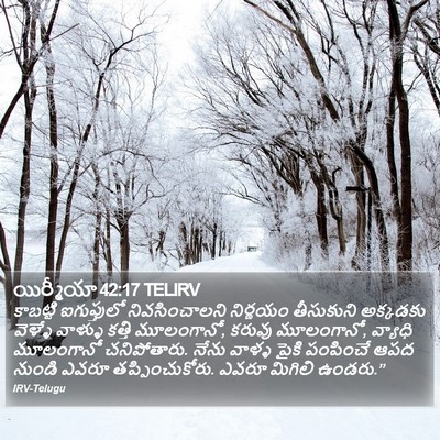 యిర్మీయా 42:17 TELIRV Bible Verse Image