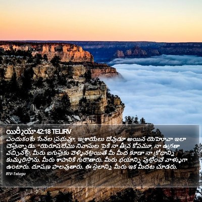యిర్మీయా 42:18 TELIRV Bible Verse Image