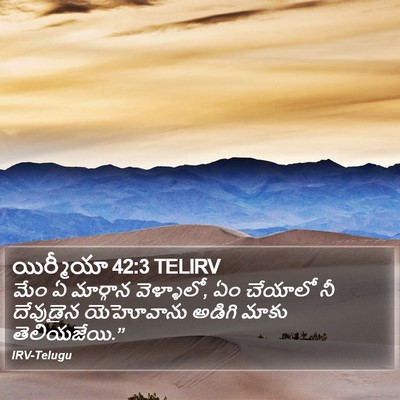 యిర్మీయా 42:3 TELIRV Bible Verse Image