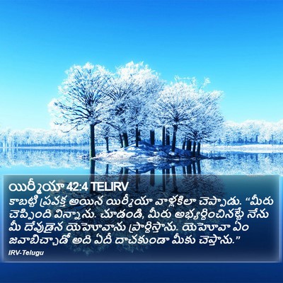యిర్మీయా 42:4 TELIRV Bible Verse Image