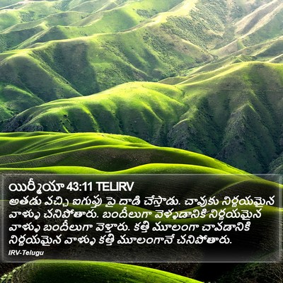 యిర్మీయా 43:11 TELIRV Bible Verse Image