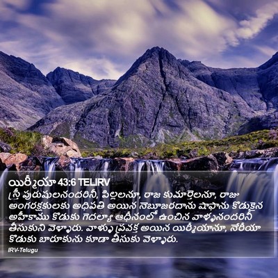 యిర్మీయా 43:6 TELIRV Bible Verse Image