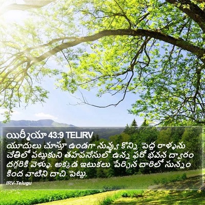 యిర్మీయా 43:9 TELIRV Bible Verse Image