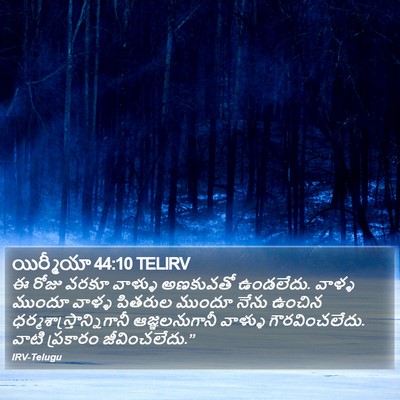యిర్మీయా 44:10 TELIRV Bible Verse Image