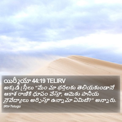 యిర్మీయా 44:19 TELIRV Bible Verse Image