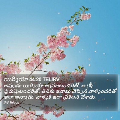 యిర్మీయా 44:20 TELIRV Bible Verse Image
