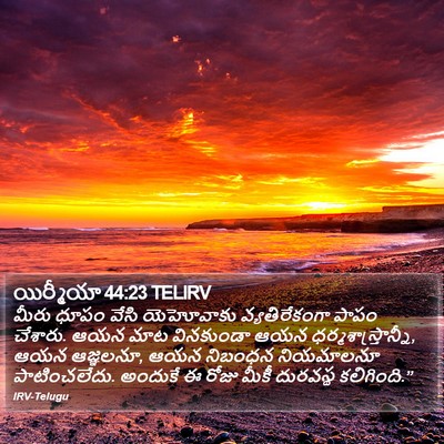 యిర్మీయా 44:23 TELIRV Bible Verse Image