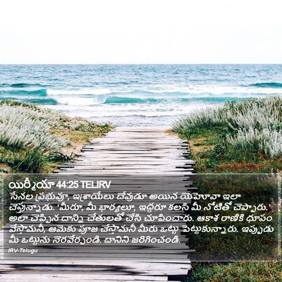 యిర్మీయా 44:25 TELIRV Bible Verse Image