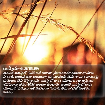 యిర్మీయా 44:26 TELIRV Bible Verse Image