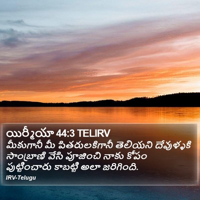 యిర్మీయా 44:3 TELIRV Bible Verse Image