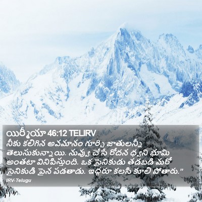 యిర్మీయా 46:12 TELIRV Bible Verse Image