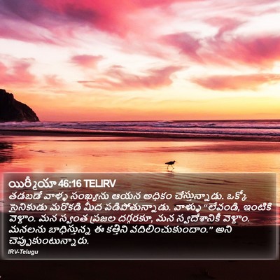 యిర్మీయా 46:16 TELIRV Bible Verse Image