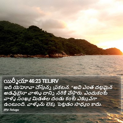 యిర్మీయా 46:23 TELIRV Bible Verse Image