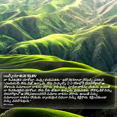 యిర్మీయా 46:28 TELIRV Bible Verse Image