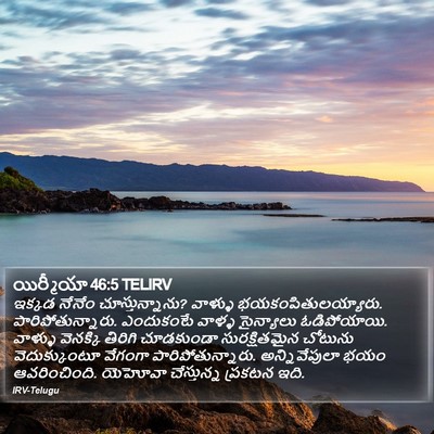 యిర్మీయా 46:5 TELIRV Bible Verse Image