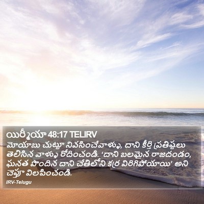 యిర్మీయా 48:17 TELIRV Bible Verse Image