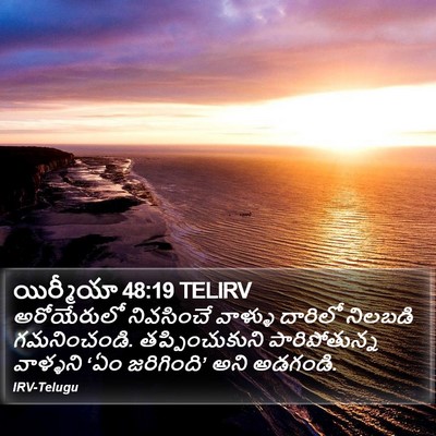 యిర్మీయా 48:19 TELIRV Bible Verse Image