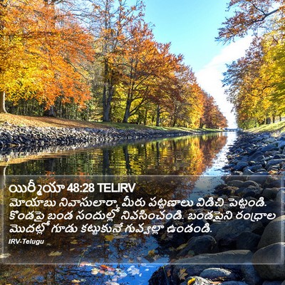 యిర్మీయా 48:28 TELIRV Bible Verse Image