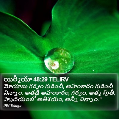 యిర్మీయా 48:29 TELIRV Bible Verse Image