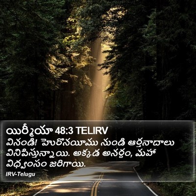 యిర్మీయా 48:3 TELIRV Bible Verse Image