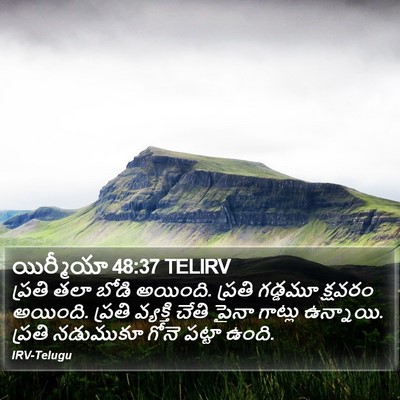 యిర్మీయా 48:37 TELIRV Bible Verse Image