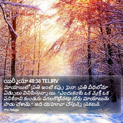 యిర్మీయా 48:38 TELIRV Bible Verse Image