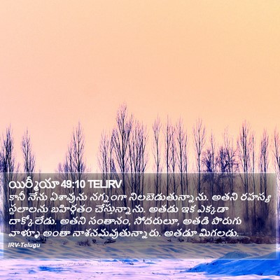యిర్మీయా 49:10 TELIRV Bible Verse Image