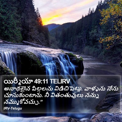 యిర్మీయా 49:11 TELIRV Bible Verse Image