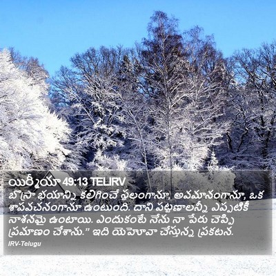 యిర్మీయా 49:13 TELIRV Bible Verse Image