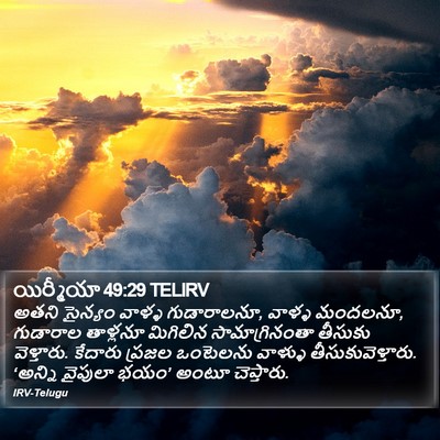 యిర్మీయా 49:29 TELIRV Bible Verse Image